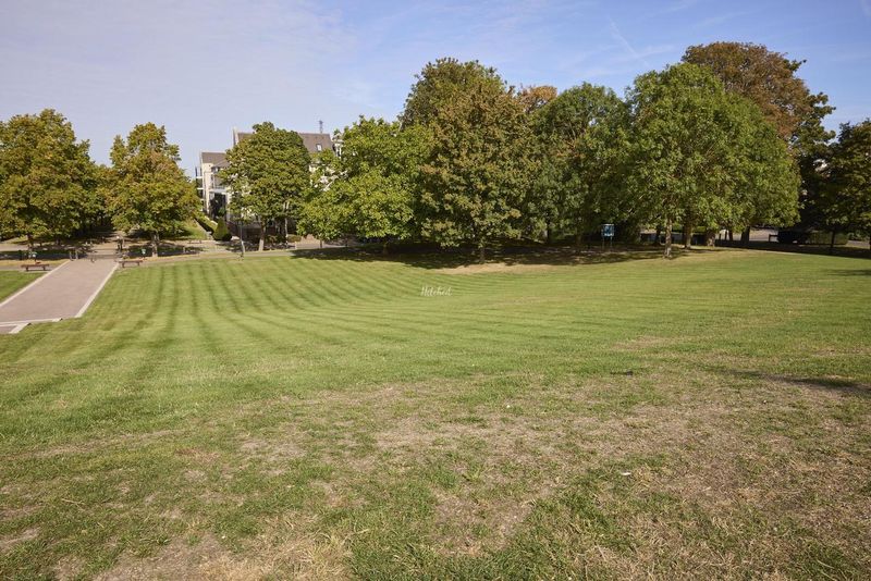 Front lawn and grounds
