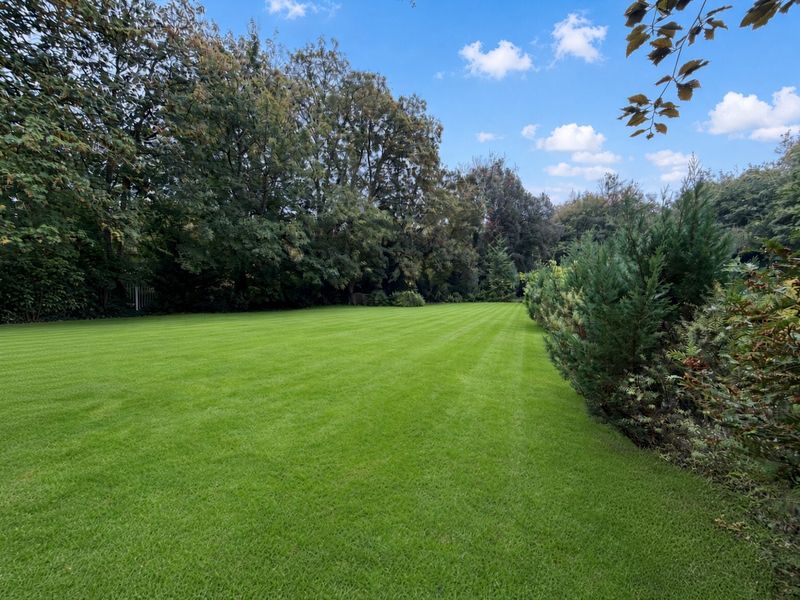 Wide open back lawn at Ingress Abbey, a possible marquee location